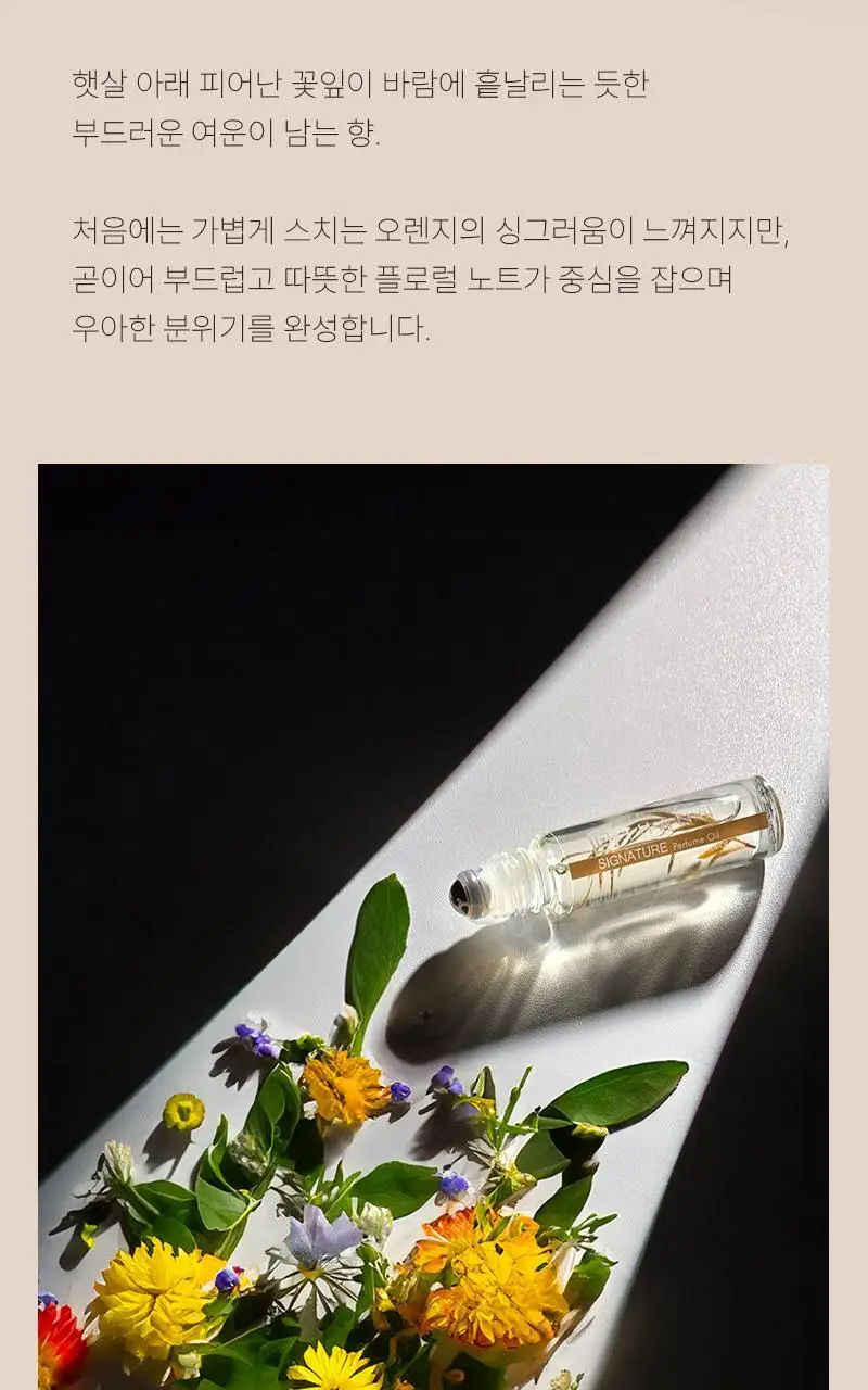 [롤온향수] 탄 시그니처 퍼퓸 오일 10ml 상세페이지 5